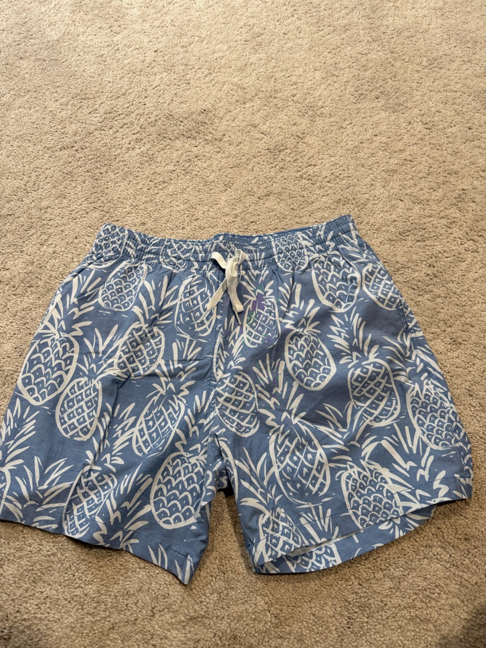 chubbies Blue Shorts with White Pineapple Print